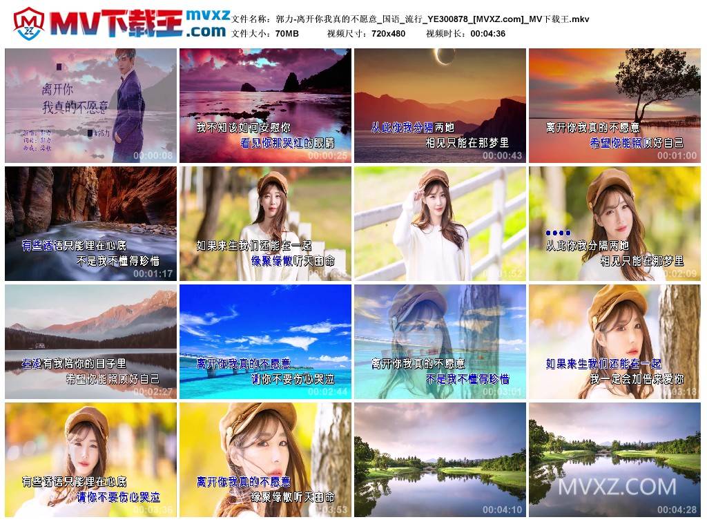 郭力-离开你我真的不愿意_国语_流行_YE300878